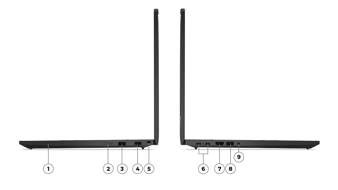 Beschreibung des Bildes